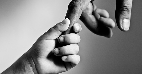 网页版手机号攻击